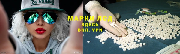дурь Алзамай