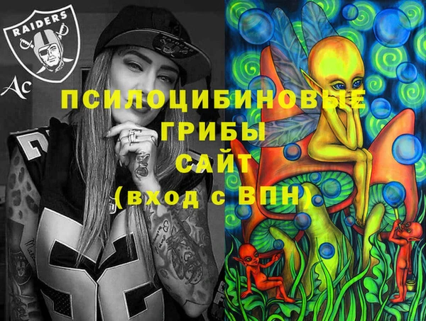 героин Алексин