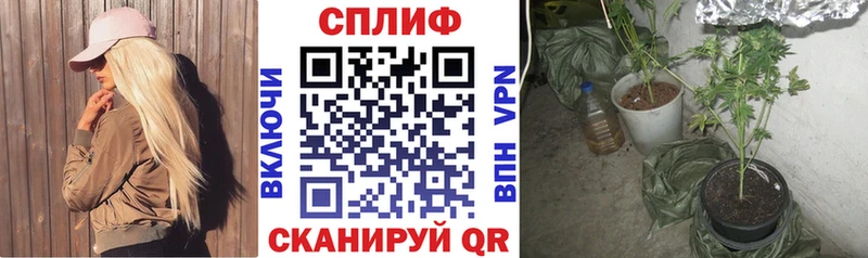 Канабис AK-47  Кемь 